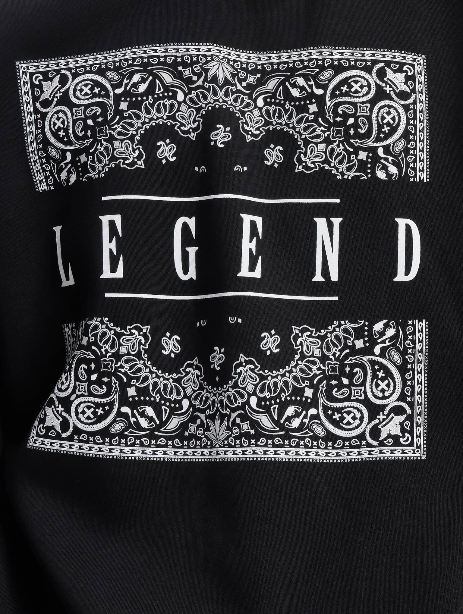Dangerous DNGRS Legend Hoody – Bild 4