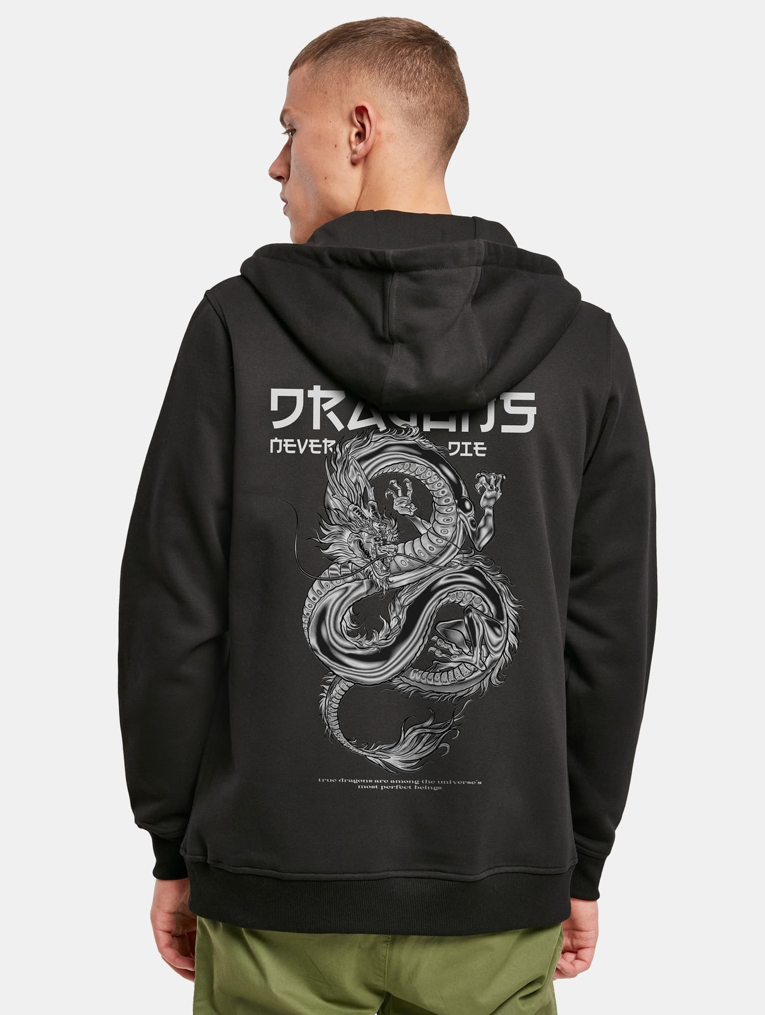 Mister Tee Dragons Never Die Heavy Zip Hoody – Bild 2