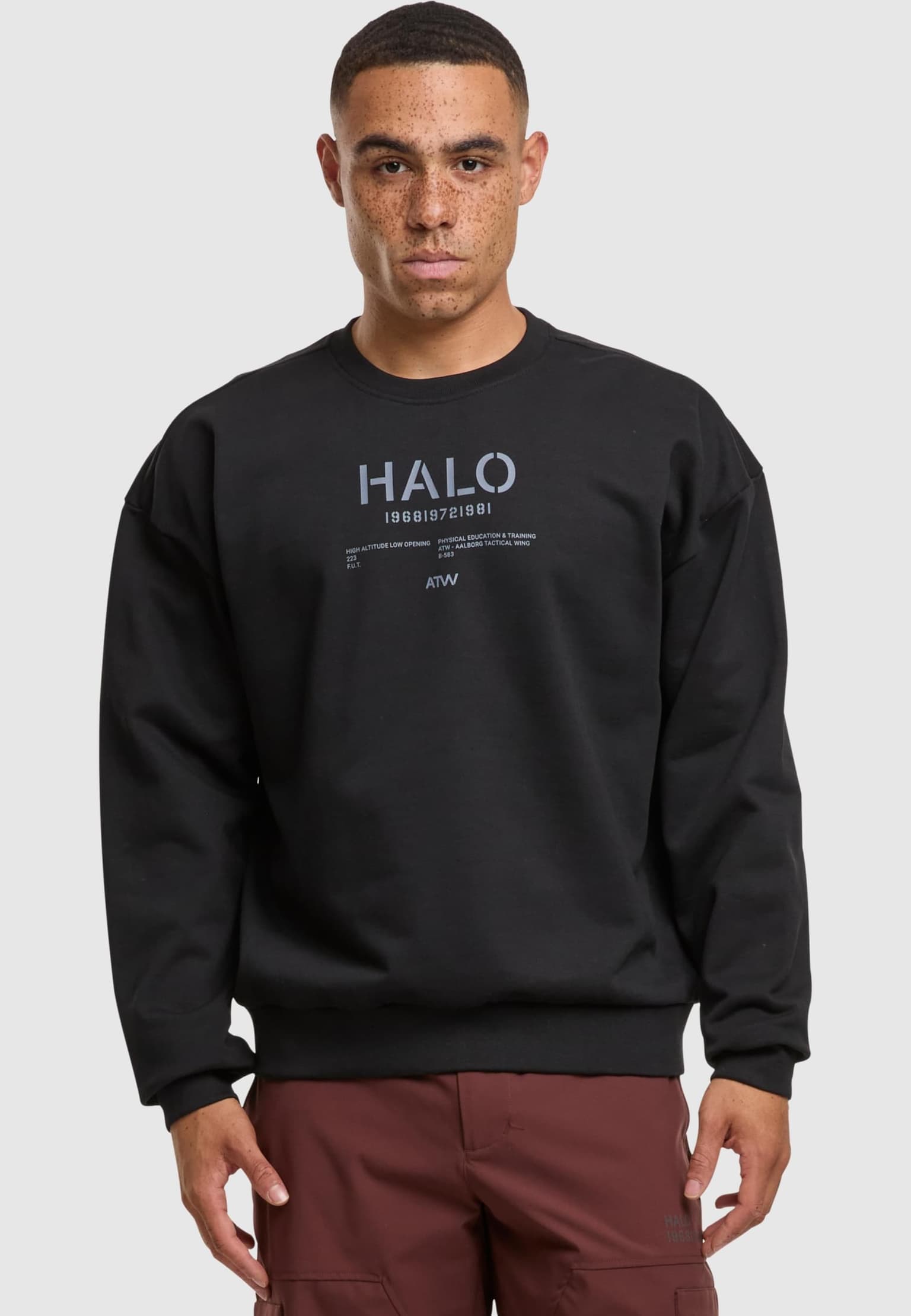 HALO GRAPHIC BOXY CREW