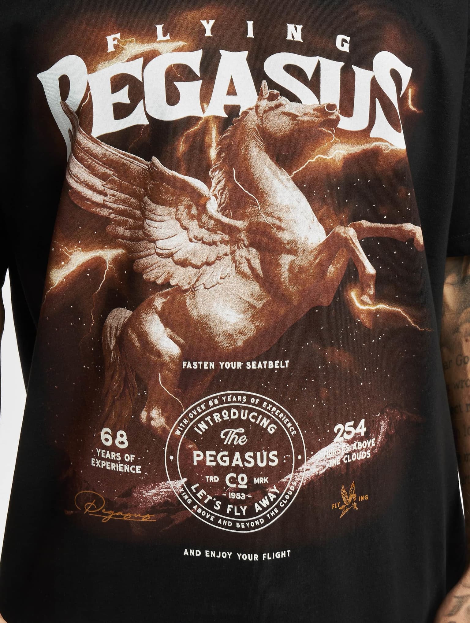 Mister Tee Upscale Pegasus Oversize – Bild 4