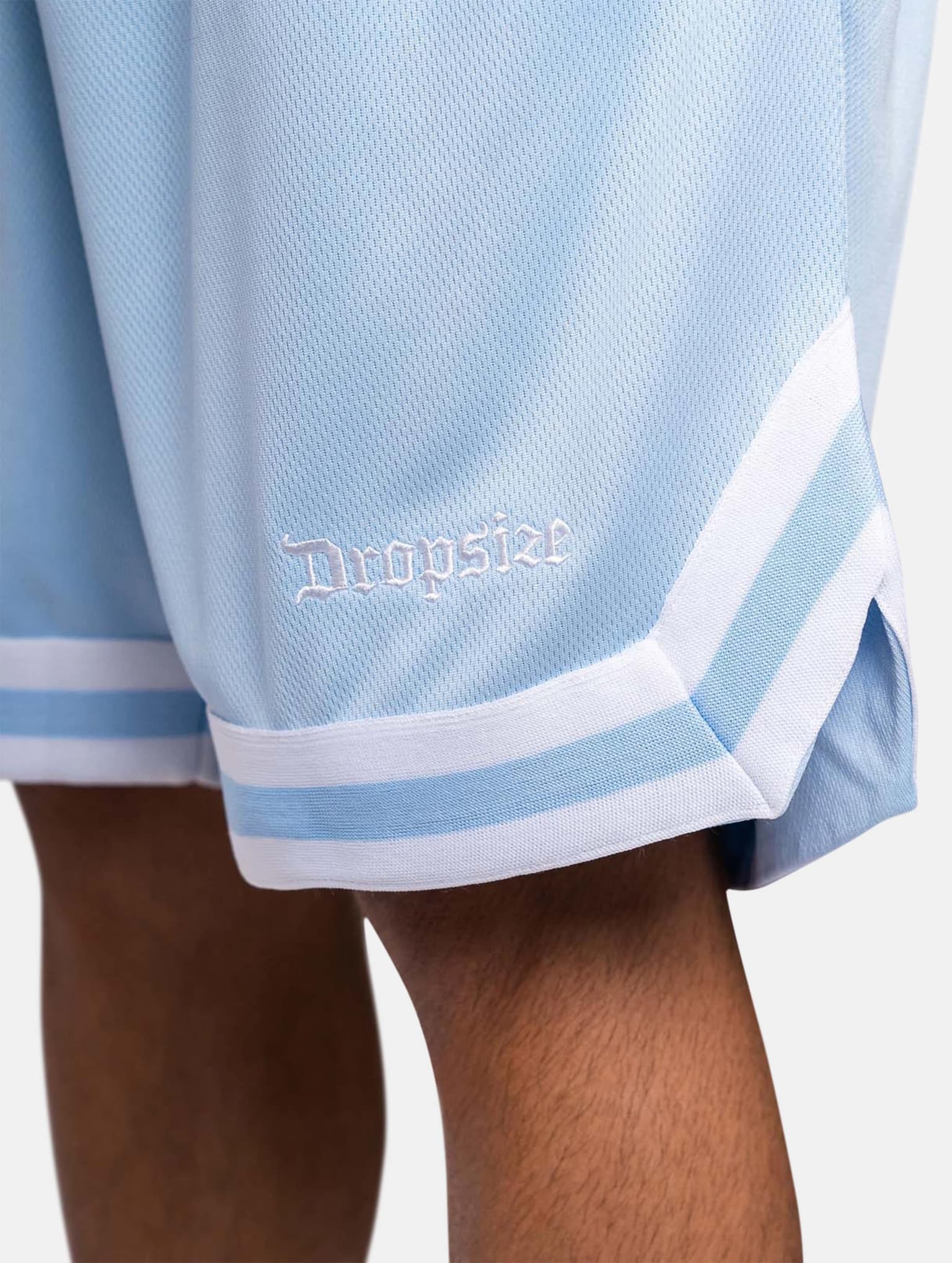 Dropsize Logo Mesh Short – Bild 2