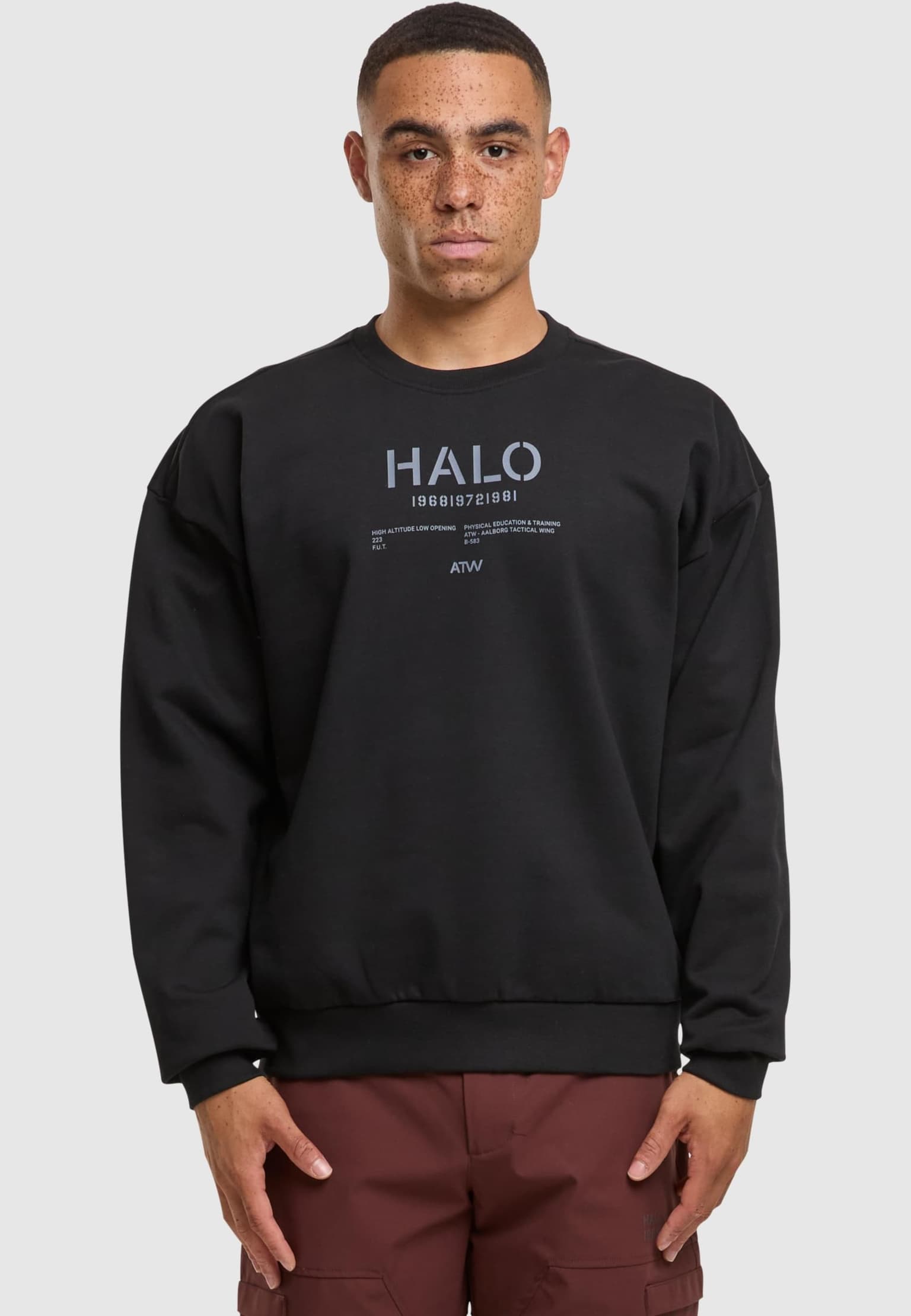 HALO GRAPHIC BOXY CREW – Bild 3