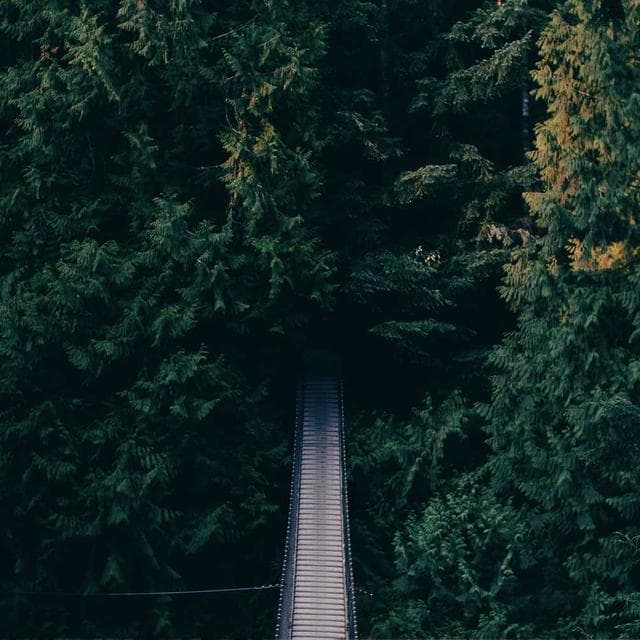 Oversize Hoodie 12XL